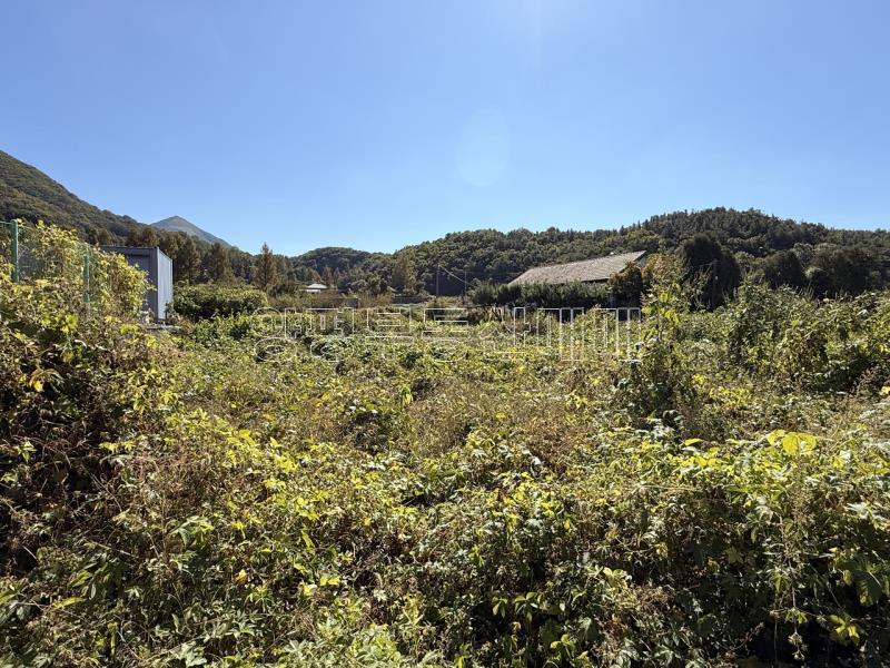 양평군 옥천면 용천리 2차선변 투자부지_23